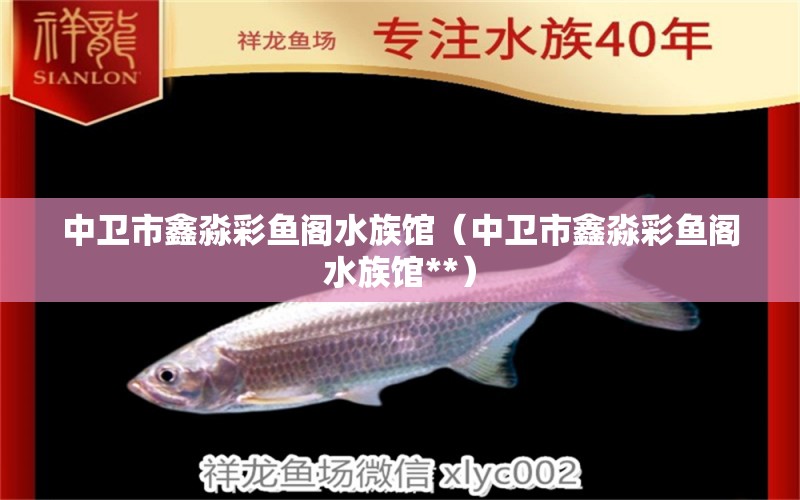 中衛(wèi)市鑫淼彩魚(yú)閣水族館（中衛(wèi)市鑫淼彩魚(yú)閣水族館**）