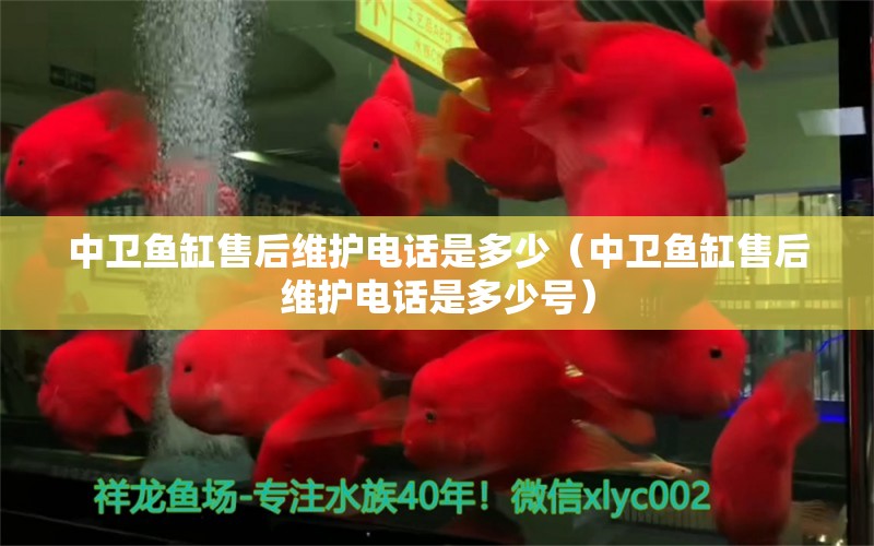 中衛(wèi)魚缸售后維護(hù)電話是多少（中衛(wèi)魚缸售后維護(hù)電話是多少號） 其他品牌魚缸