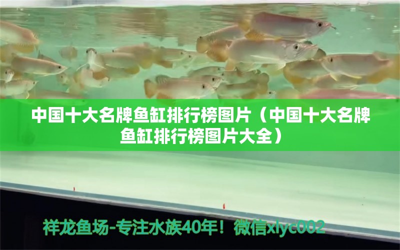 中國(guó)十大名牌魚缸排行榜圖片（中國(guó)十大名牌魚缸排行榜圖片大全）