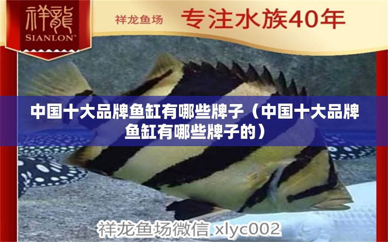 中國十大品牌魚缸有哪些牌子（中國十大品牌魚缸有哪些牌子的）