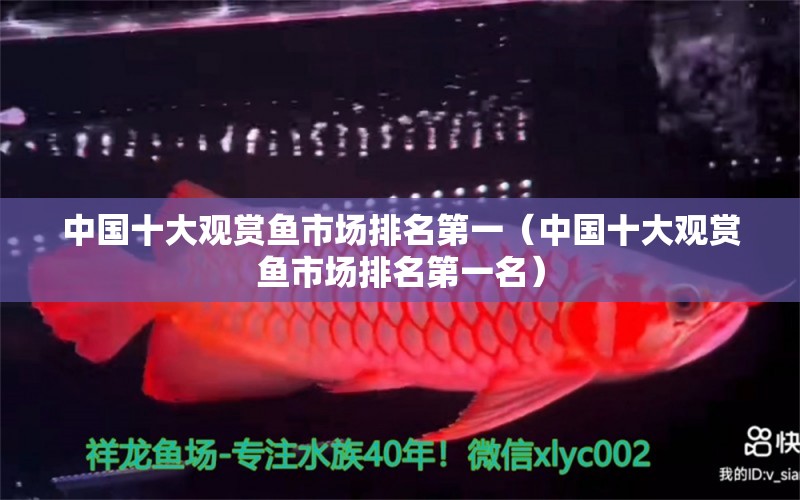 中國十大觀賞魚市場排名第一（中國十大觀賞魚市場排名第一名）