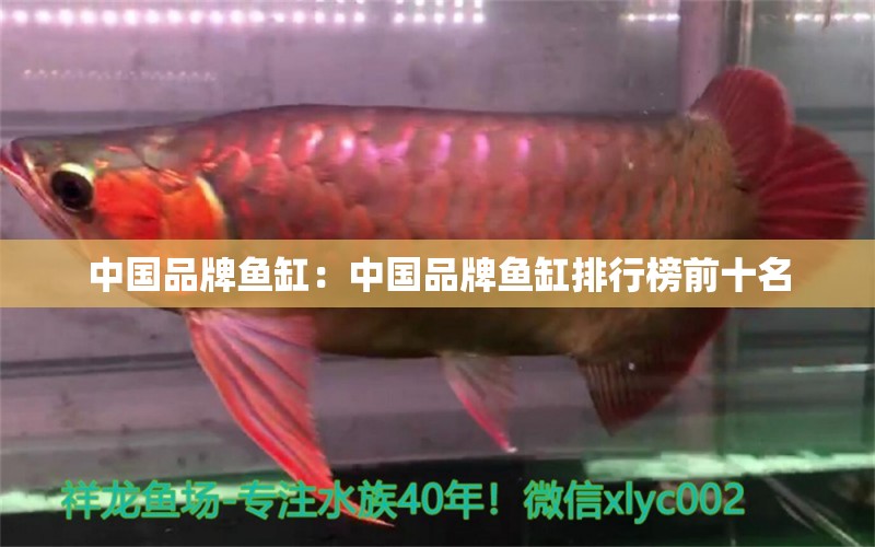 中國(guó)品牌魚缸：中國(guó)品牌魚缸排行榜前十名