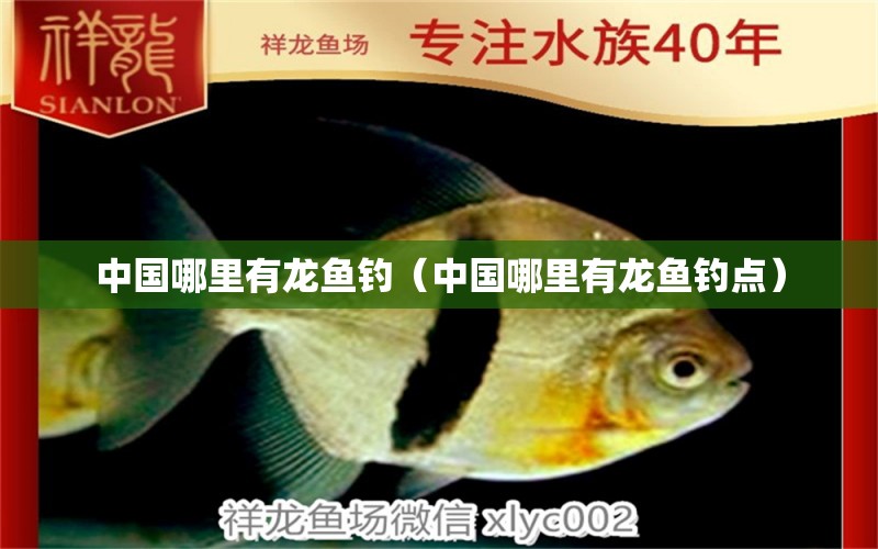 中國哪里有龍魚釣（中國哪里有龍魚釣點） 垂釣樂園