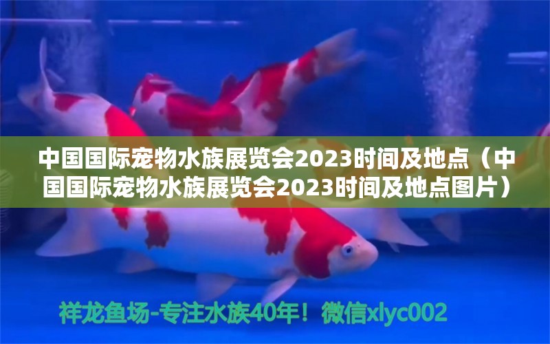 中國國際寵物水族展覽會2023時間及地點（中國國際寵物水族展覽會2023時間及地點圖片）