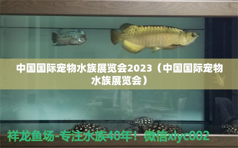 中國國際寵物水族展覽會2023（中國國際寵物水族展覽會）