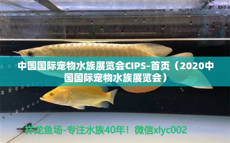 中國國際寵物水族展覽會CIPS-首頁（2020中國國際寵物水族展覽會）