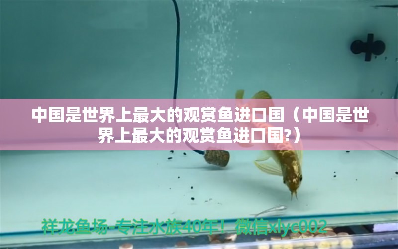 中國是世界上最大的觀賞魚進口國（中國是世界上最大的觀賞魚進口國?）