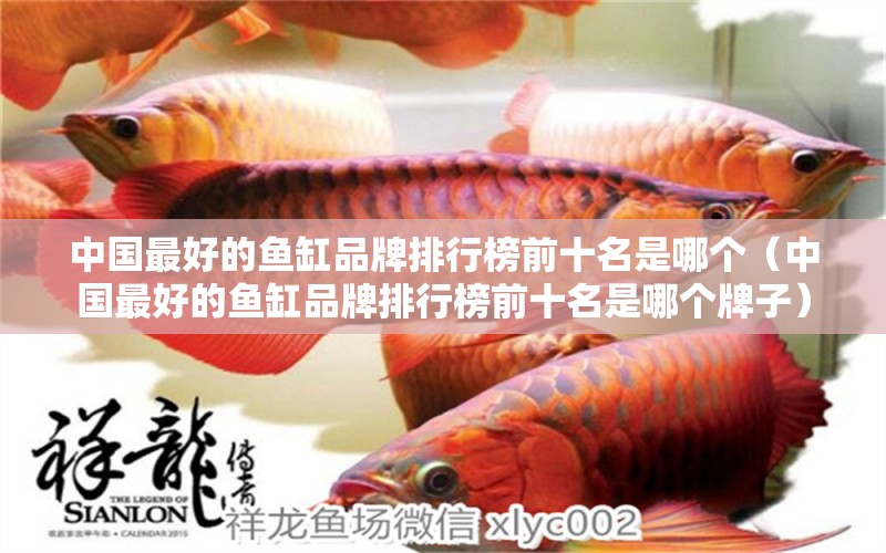 中國最好的魚缸品牌排行榜前十名是哪個（中國最好的魚缸品牌排行榜前十名是哪個牌子）