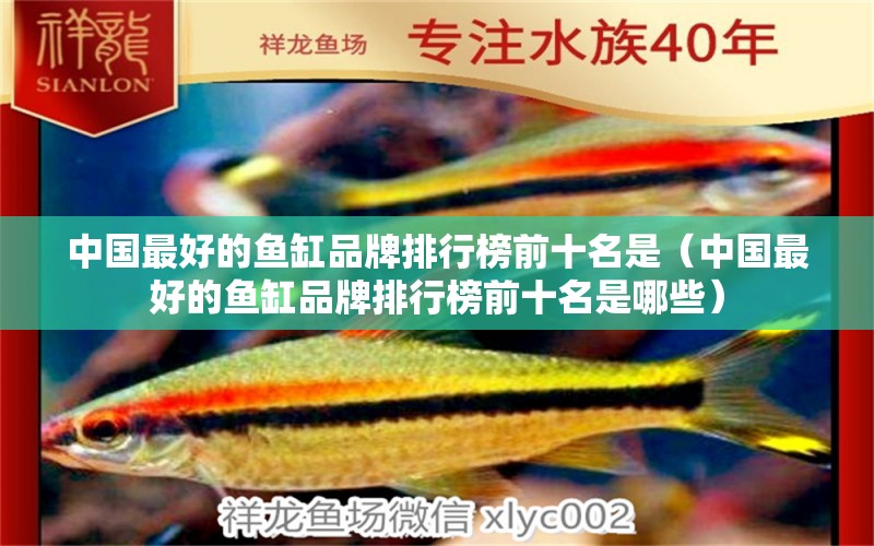 中國(guó)最好的魚缸品牌排行榜前十名是（中國(guó)最好的魚缸品牌排行榜前十名是哪些） 祥龍水族醫(yī)院