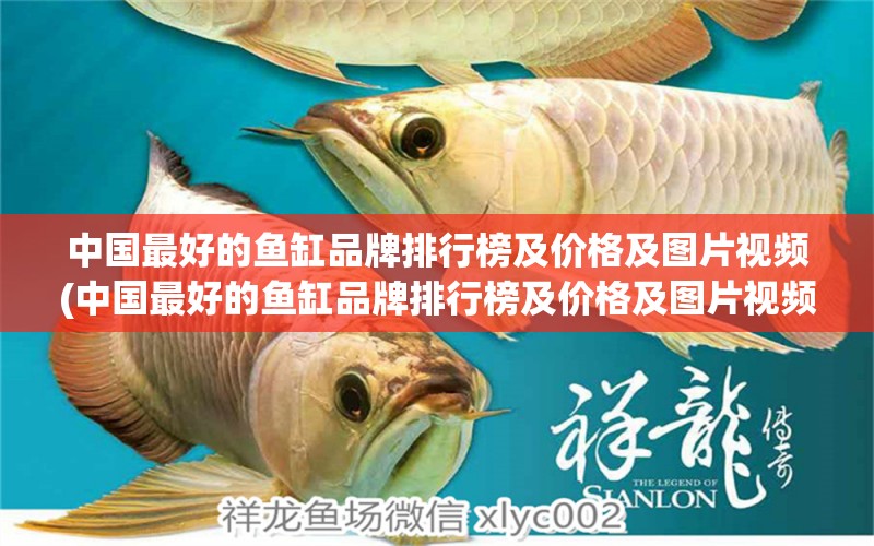 中國最好的魚缸品牌排行榜及價格及圖片視頻(中國最好的魚缸品牌排行榜及價格及圖片視頻欣賞) 黑帝王魟魚