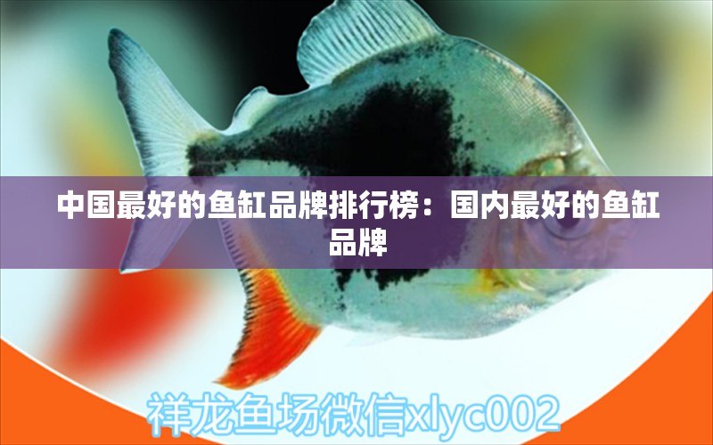 中國最好的魚缸品牌排行榜：國內(nèi)最好的魚缸品牌