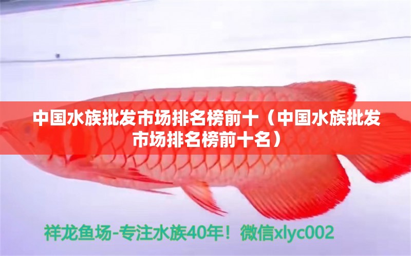 中國(guó)水族批發(fā)市場(chǎng)排名榜前十（中國(guó)水族批發(fā)市場(chǎng)排名榜前十名）