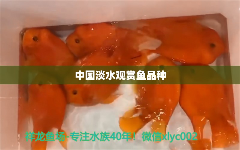 中國淡水觀賞魚品種