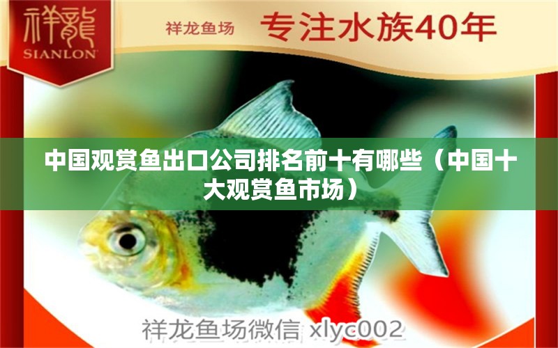 中國觀賞魚出口公司排名前十有哪些（中國十大觀賞魚市場） 觀賞魚進(jìn)出口