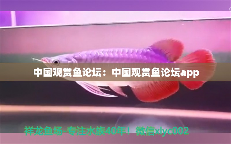 中國觀賞魚論壇：中國觀賞魚論壇app