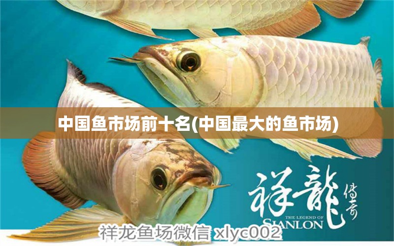 中國魚市場前十名(中國最大的魚市場) 白子銀龍魚苗