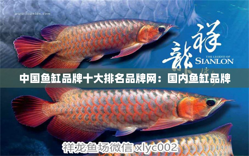 中國魚缸品牌十大排名品牌網(wǎng)：國內(nèi)魚缸品牌 廣州龍魚批發(fā)市場