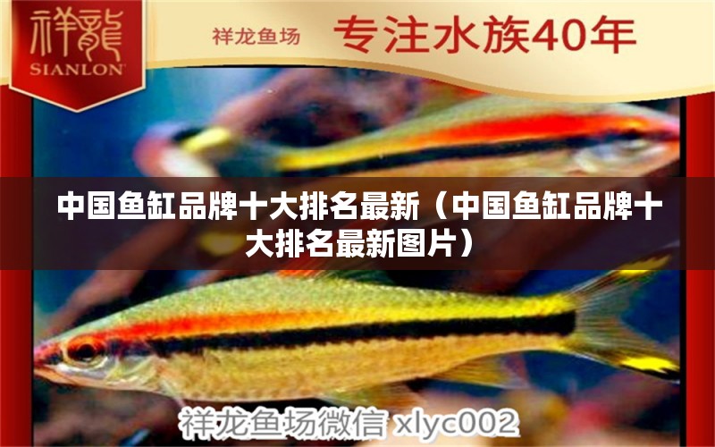 中國魚缸品牌十大排名最新（中國魚缸品牌十大排名最新圖片）