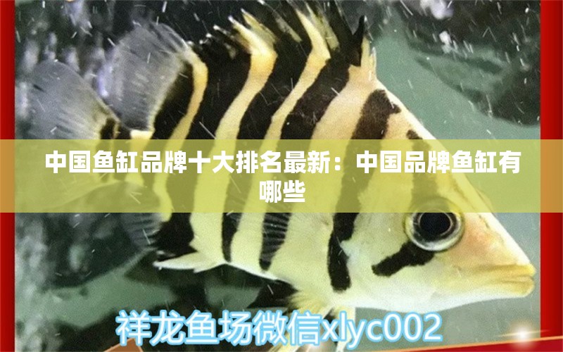 中國魚缸品牌十大排名最新：中國品牌魚缸有哪些