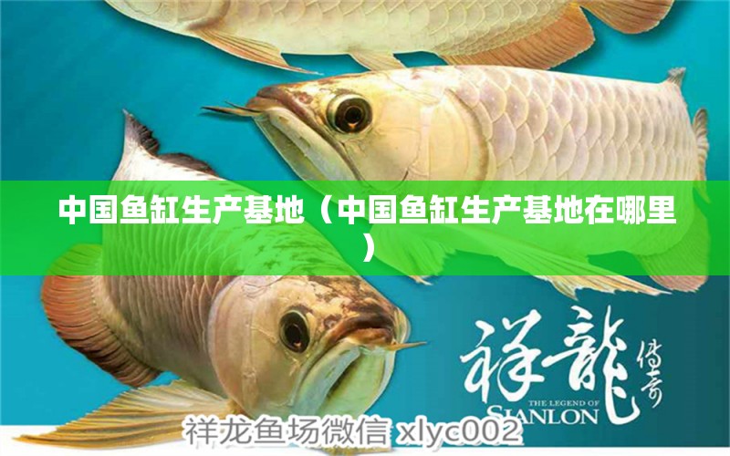 中國魚缸生產(chǎn)基地（中國魚缸生產(chǎn)基地在哪里） 祥龍水族醫(yī)院