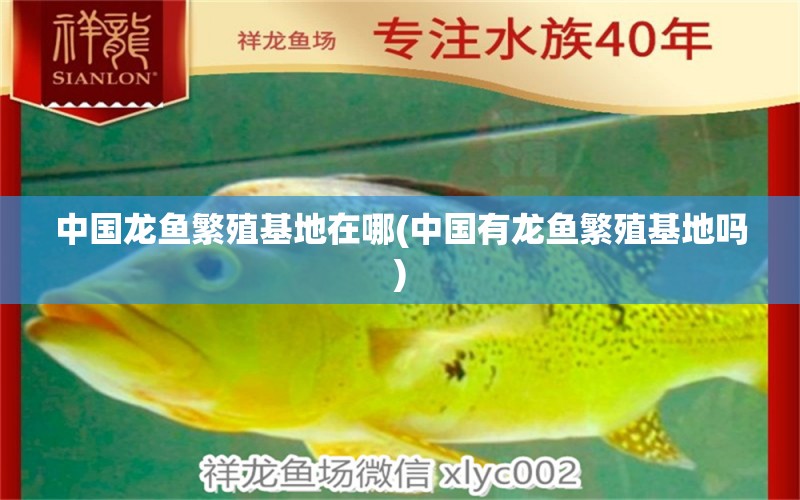 中國龍魚繁殖基地在哪(中國有龍魚繁殖基地嗎) 水溫計(jì)