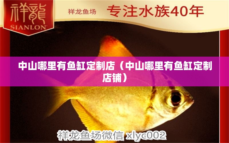 中山哪里有魚缸定制店（中山哪里有魚缸定制店鋪） 其他品牌魚缸