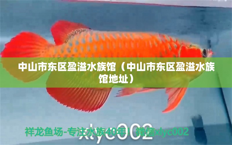 中山市東區(qū)盈溢水族館（中山市東區(qū)盈溢水族館地址）