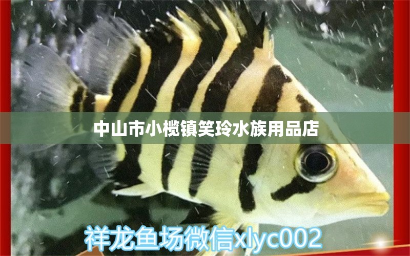 中山市小欖鎮(zhèn)笑玲水族用品店 水族用品