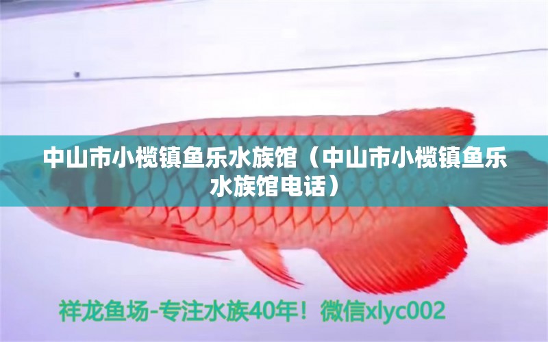 中山市小欖鎮(zhèn)魚樂水族館（中山市小欖鎮(zhèn)魚樂水族館電話）