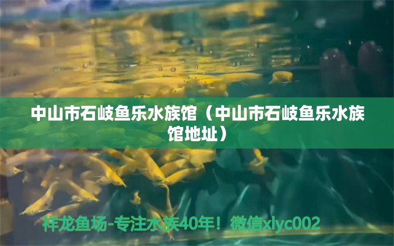 中山市石岐魚樂水族館（中山市石岐魚樂水族館地址） 全國水族館企業(yè)名錄