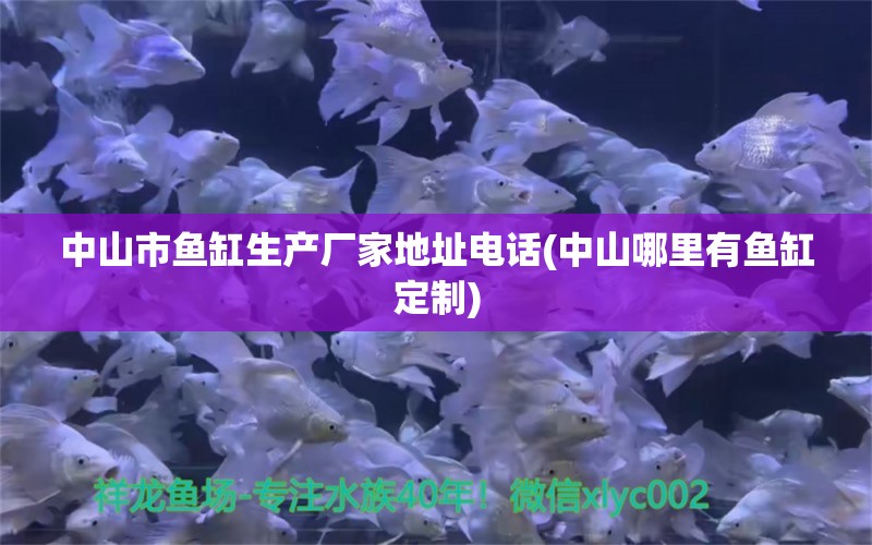 中山市魚缸生產(chǎn)廠家地址電話(中山哪里有魚缸定制) 其他品牌魚缸