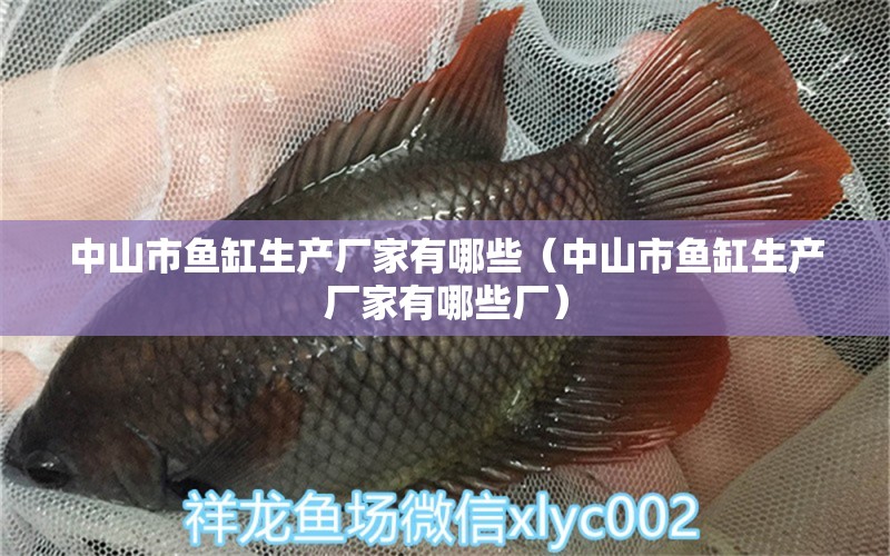 中山市魚缸生產(chǎn)廠家有哪些（中山市魚缸生產(chǎn)廠家有哪些廠） 其他品牌魚缸