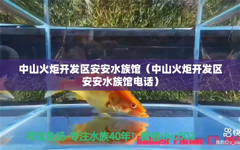 中山火炬開發(fā)區(qū)安安水族館（中山火炬開發(fā)區(qū)安安水族館電話）