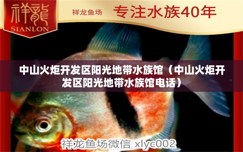 中山火炬開發(fā)區(qū)陽光地帶水族館（中山火炬開發(fā)區(qū)陽光地帶水族館電話） 全國水族館企業(yè)名錄