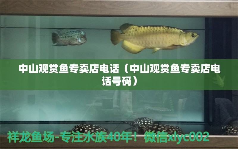 中山觀賞魚(yú)專賣店電話（中山觀賞魚(yú)專賣店電話號(hào)碼）