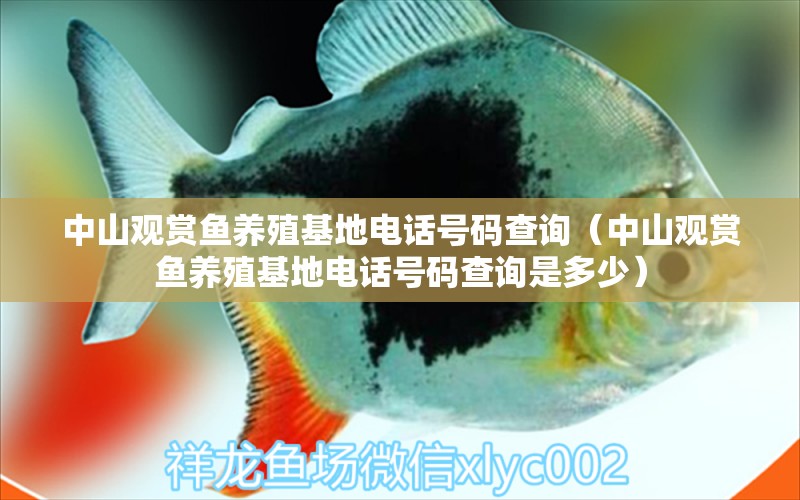 中山觀賞魚養(yǎng)殖基地電話號(hào)碼查詢（中山觀賞魚養(yǎng)殖基地電話號(hào)碼查詢是多少）