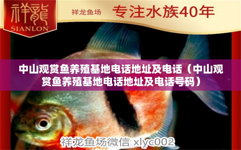 中山觀賞魚養(yǎng)殖基地電話地址及電話（中山觀賞魚養(yǎng)殖基地電話地址及電話號(hào)碼）