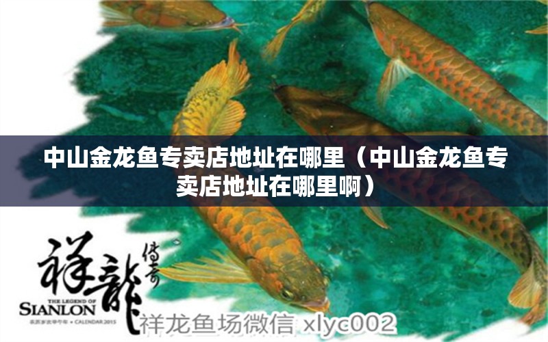 中山金龍魚專賣店地址在哪里（中山金龍魚專賣店地址在哪里?。? title=