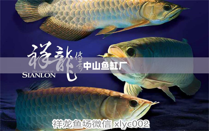 中山魚(yú)缸廠 其他品牌魚(yú)缸