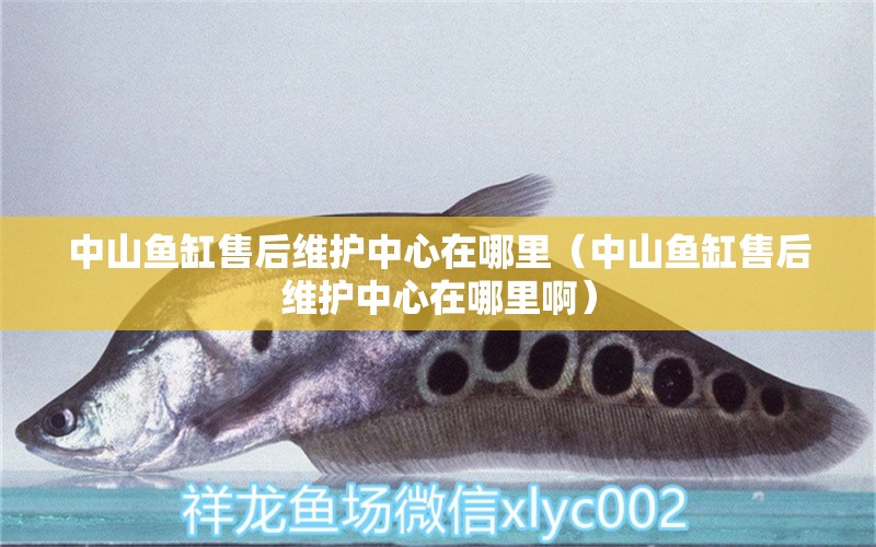 中山魚缸售后維護中心在哪里（中山魚缸售后維護中心在哪里?。?其他品牌魚缸