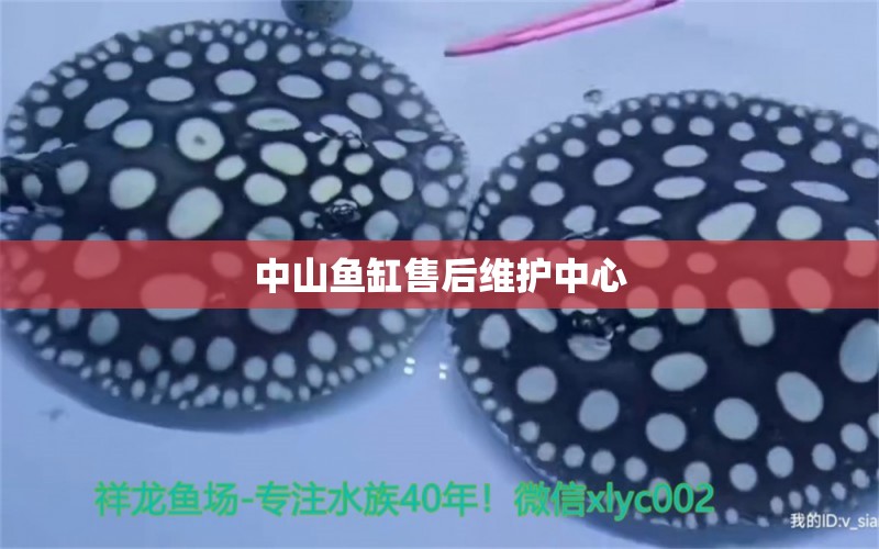 中山魚缸售后維護中心 其他品牌魚缸 第2張