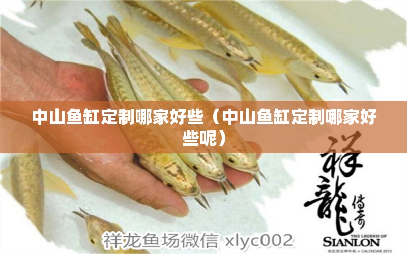 中山魚缸定制哪家好些（中山魚缸定制哪家好些呢）