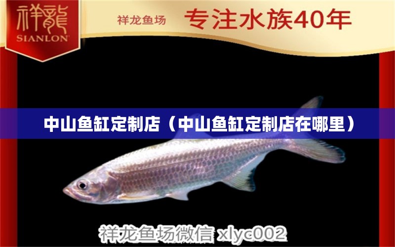 中山魚(yú)缸定制店（中山魚(yú)缸定制店在哪里） 觀賞魚(yú)市場(chǎng)（混養(yǎng)魚(yú)）