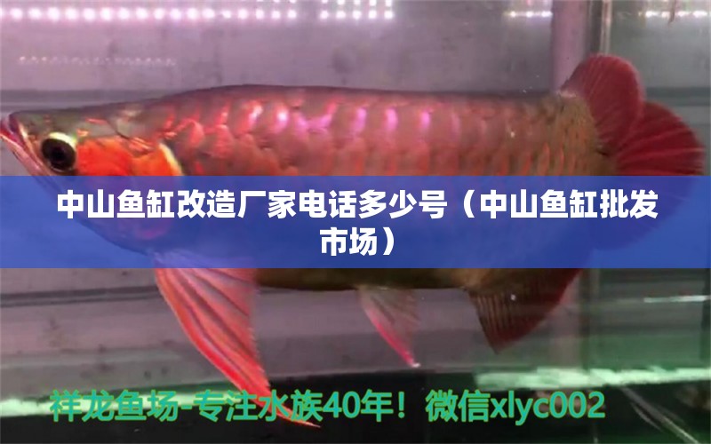 中山魚(yú)缸改造廠家電話(huà)多少號(hào)（中山魚(yú)缸批發(fā)市場(chǎng)）