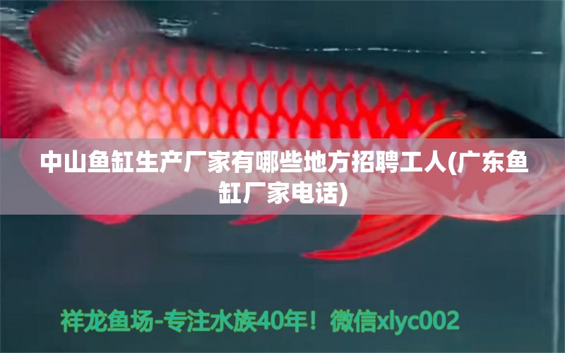 中山魚缸生產(chǎn)廠家有哪些地方招聘工人(廣東魚缸廠家電話) 帝王迷宮 第1張