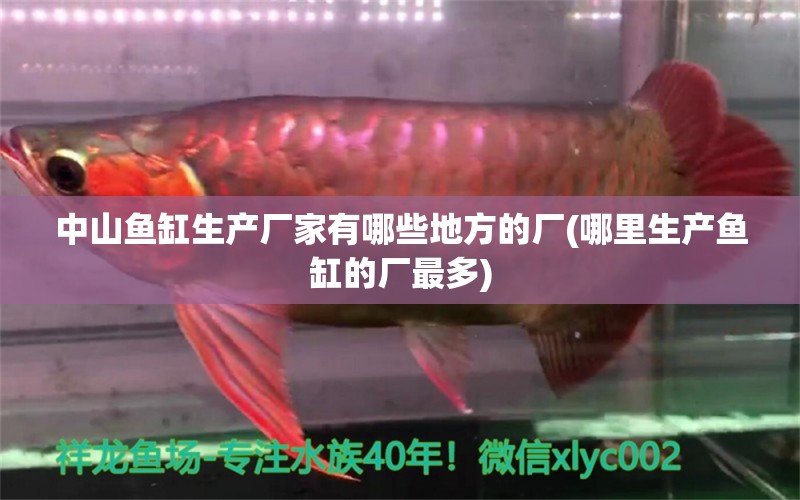 中山魚缸生產(chǎn)廠家有哪些地方的廠(哪里生產(chǎn)魚缸的廠最多)