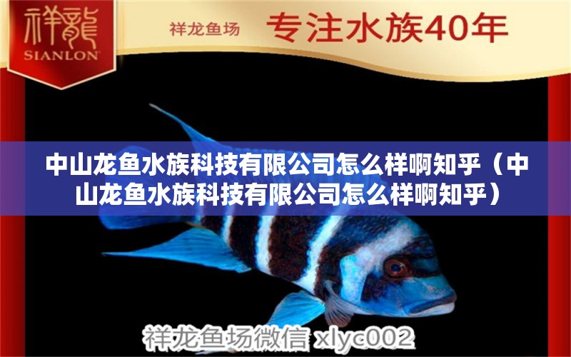 中山龍魚水族科技有限公司怎么樣啊知乎（中山龍魚水族科技有限公司怎么樣啊知乎）