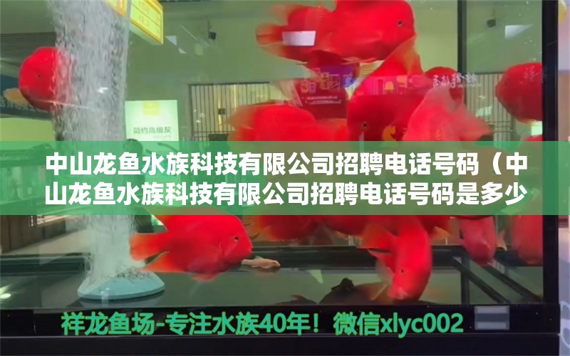 中山龍魚水族科技有限公司招聘電話號碼（中山龍魚水族科技有限公司招聘電話號碼是多少）