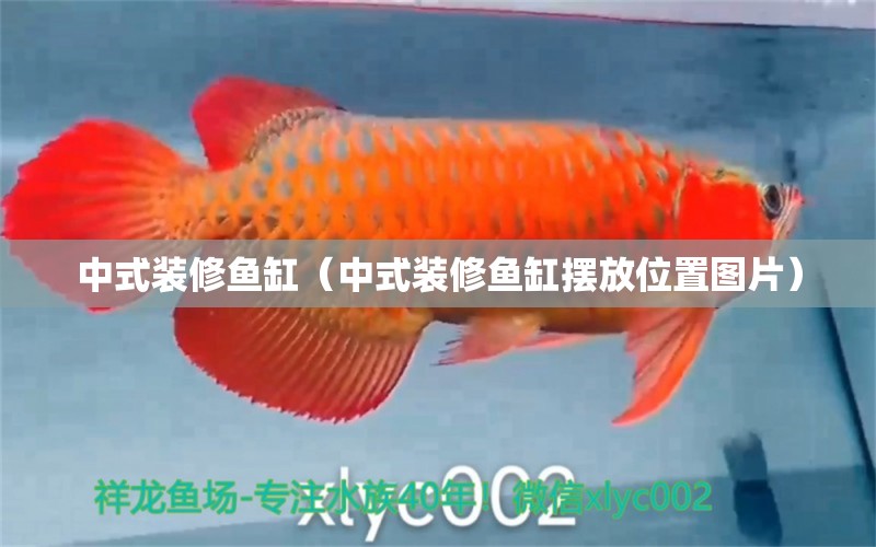 中式裝修魚缸（中式裝修魚缸擺放位置圖片） 其他品牌魚缸