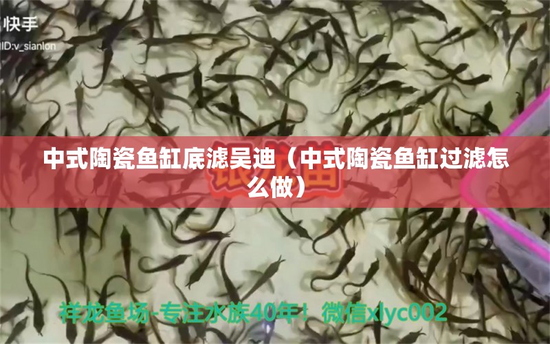 中式陶瓷魚缸底濾吳迪（中式陶瓷魚缸過濾怎么做）